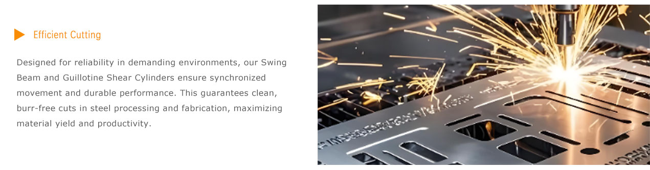  Press Brake Hydraulic Cylinder