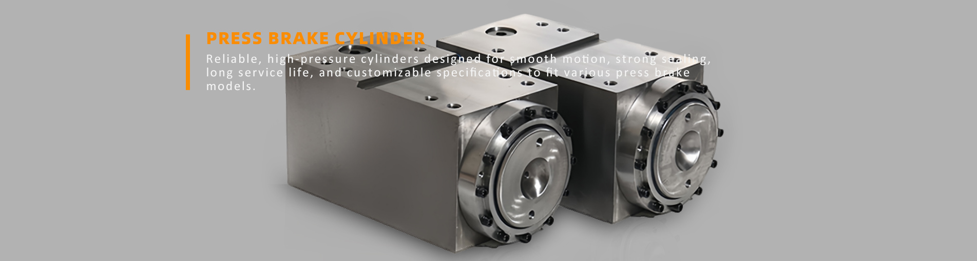 Press Brake Cylinder