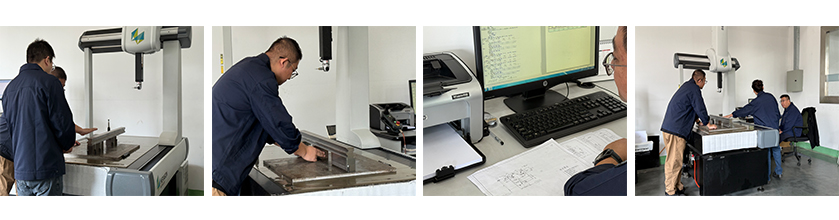 The staff conducting the inspection